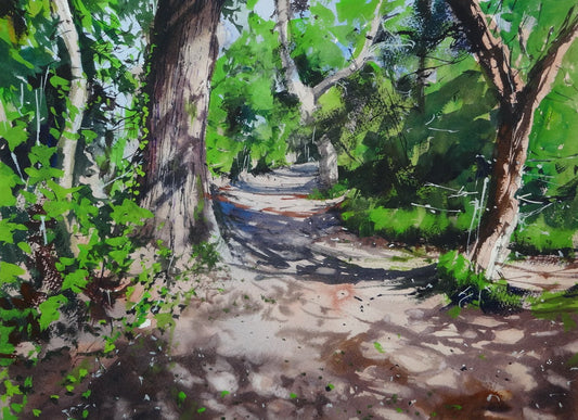 Ridge Wood Shadows, Chipping Sodbury