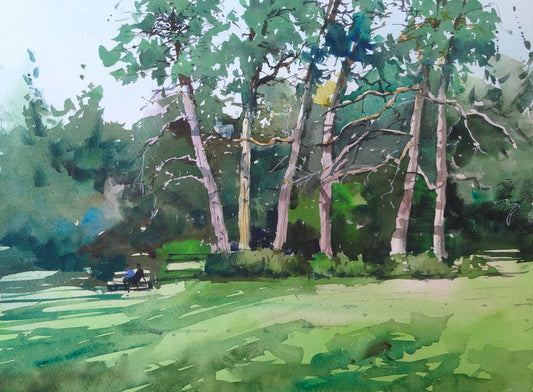 Scots pines at Westonbirt and a simple way to paint light trunks with negative painting