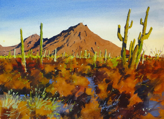 Painting the Warm Light of the Sonoran Desert