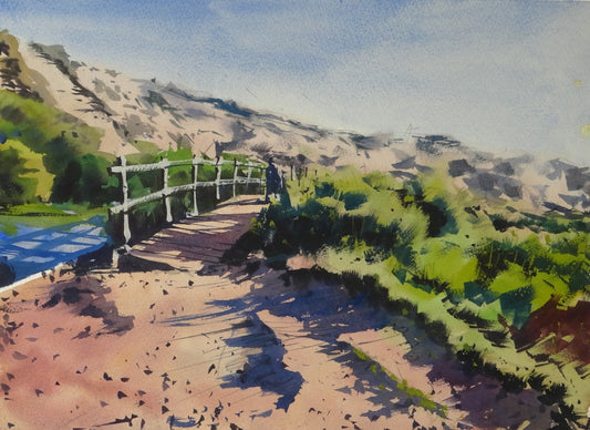 Footbridge across the wetlands, Holywell Bay, Cornwall